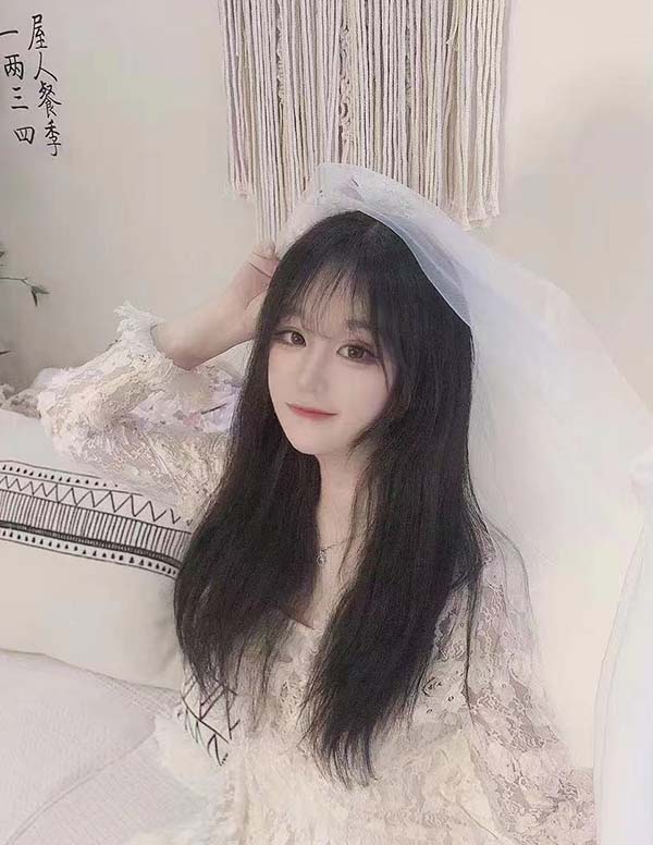 多伦多伴游